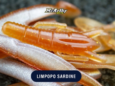LIMPOPO SARDINE